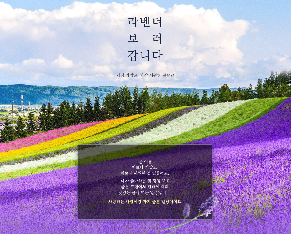 0511 북해도 홈쇼핑 기획전.PNG